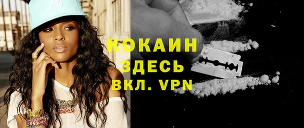 крисы Бронницы