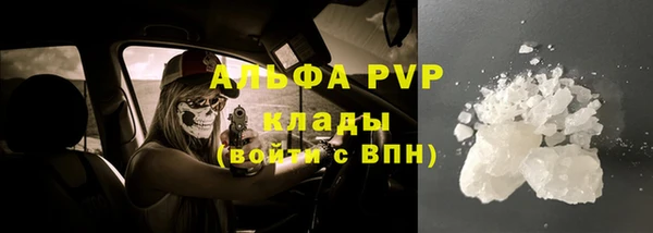 гашиш Богданович