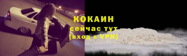 а пвп мука Бородино