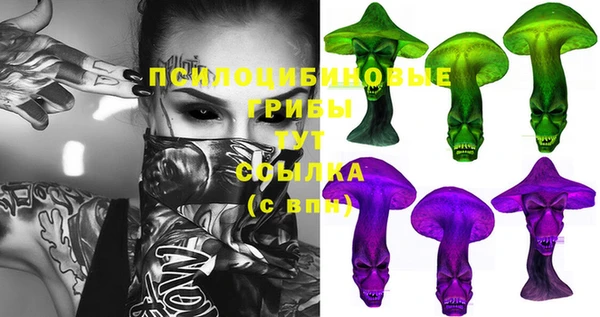 jwh Богородицк