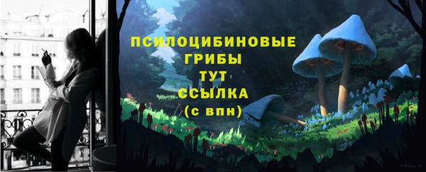 jwh Богородицк
